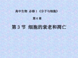 细胞衰老和凋亡
