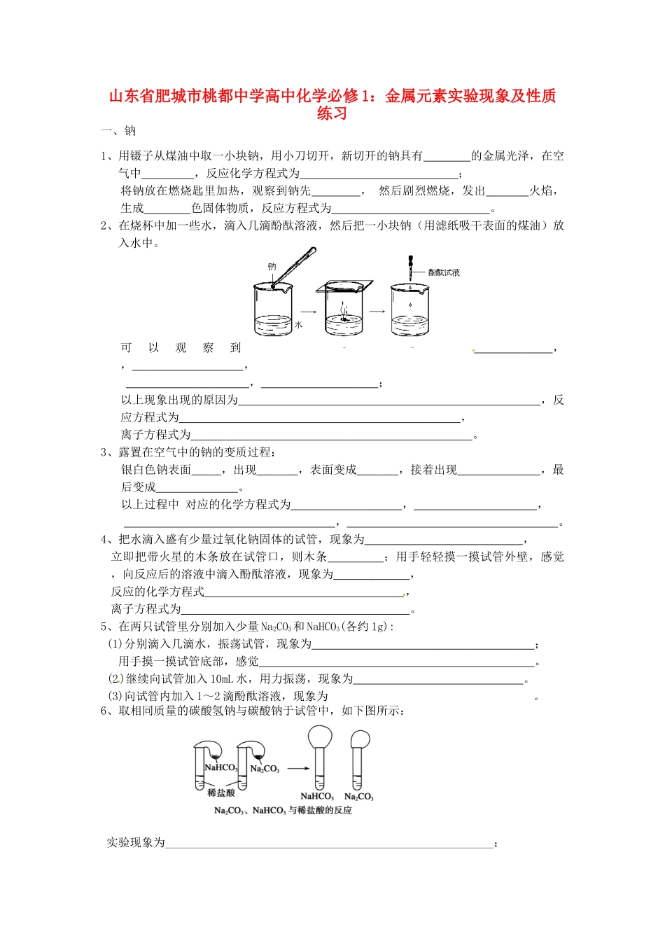 山东省肥城市桃都中学高中化学 金属元素实验现象及性质练习 新人教版必修1_第1页