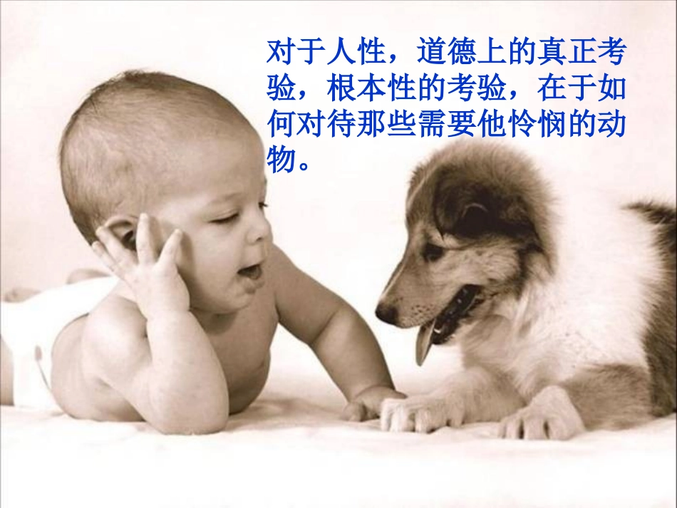 安恩和奶牛--课件_第1页