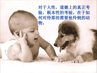 安恩和奶牛--课件