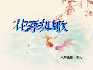 蝴蝶飞呀(节选)