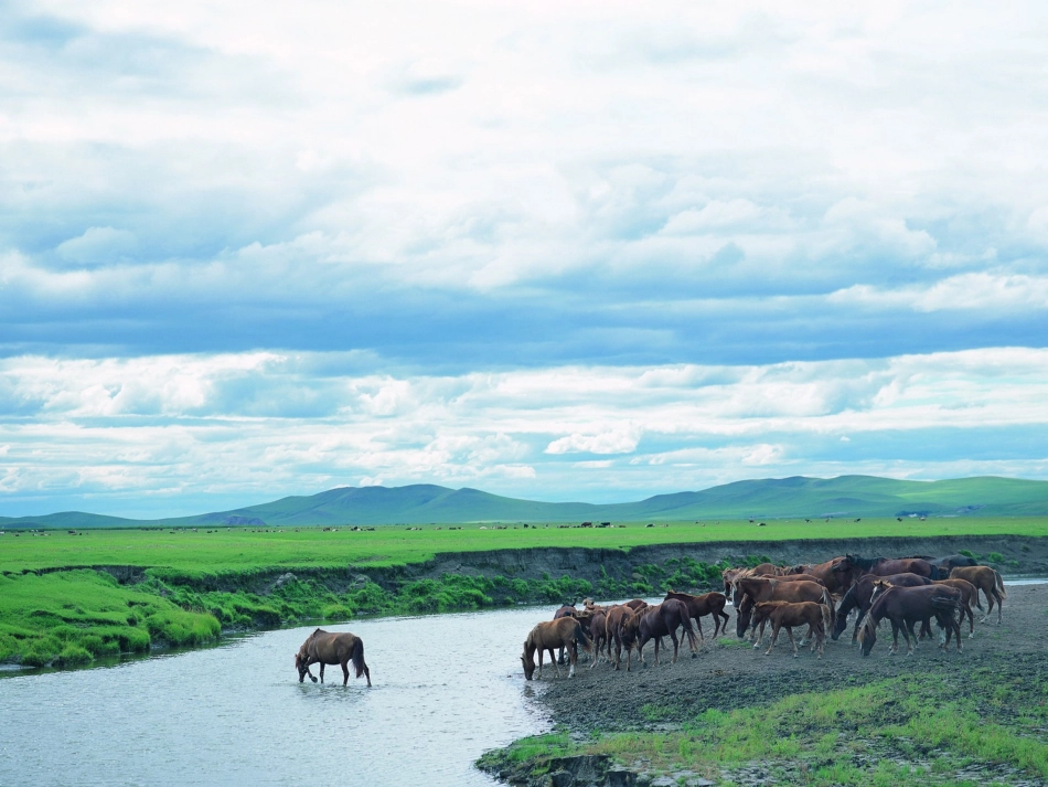 第三节西北地区_第2页