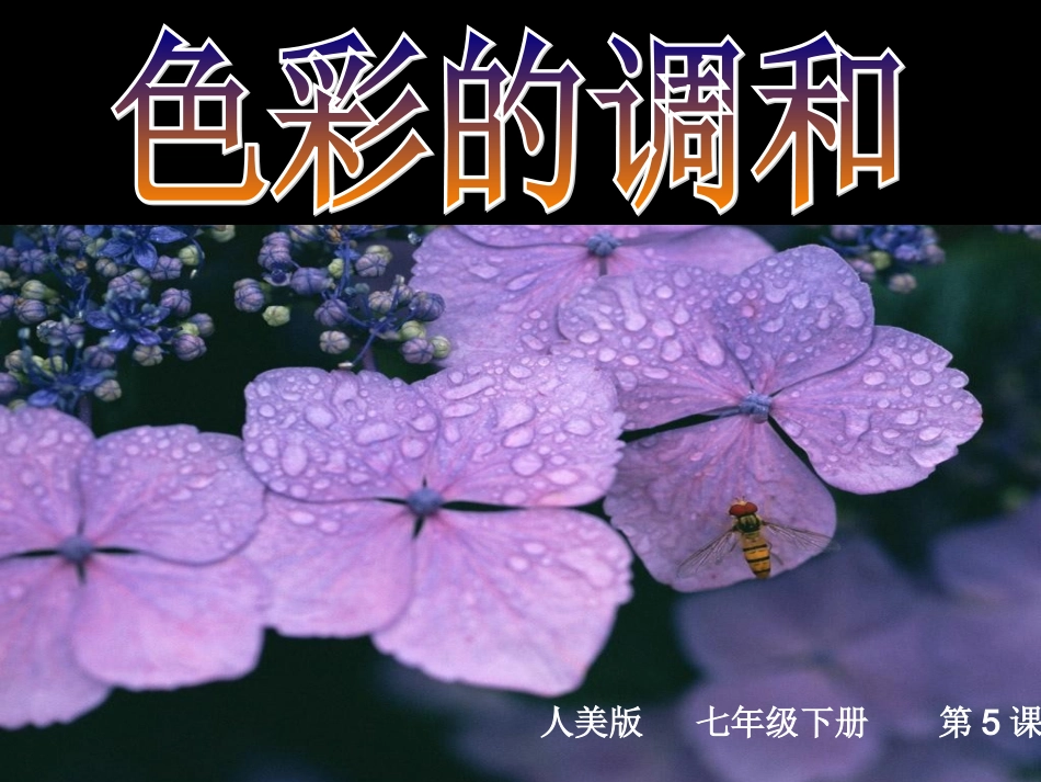 5.色彩的调和-(2)_第1页