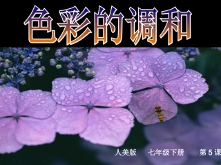 5.色彩的调和-(2)