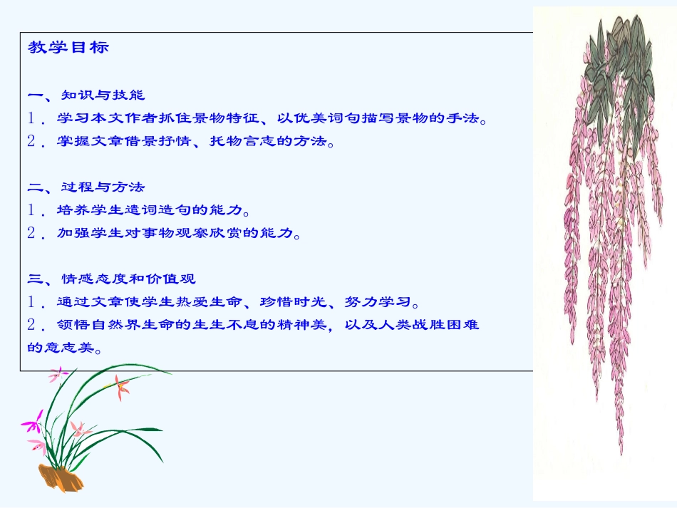 (部编)初中语文人教2011课标版七年级下册紫藤萝瀑布---第二课时_第2页