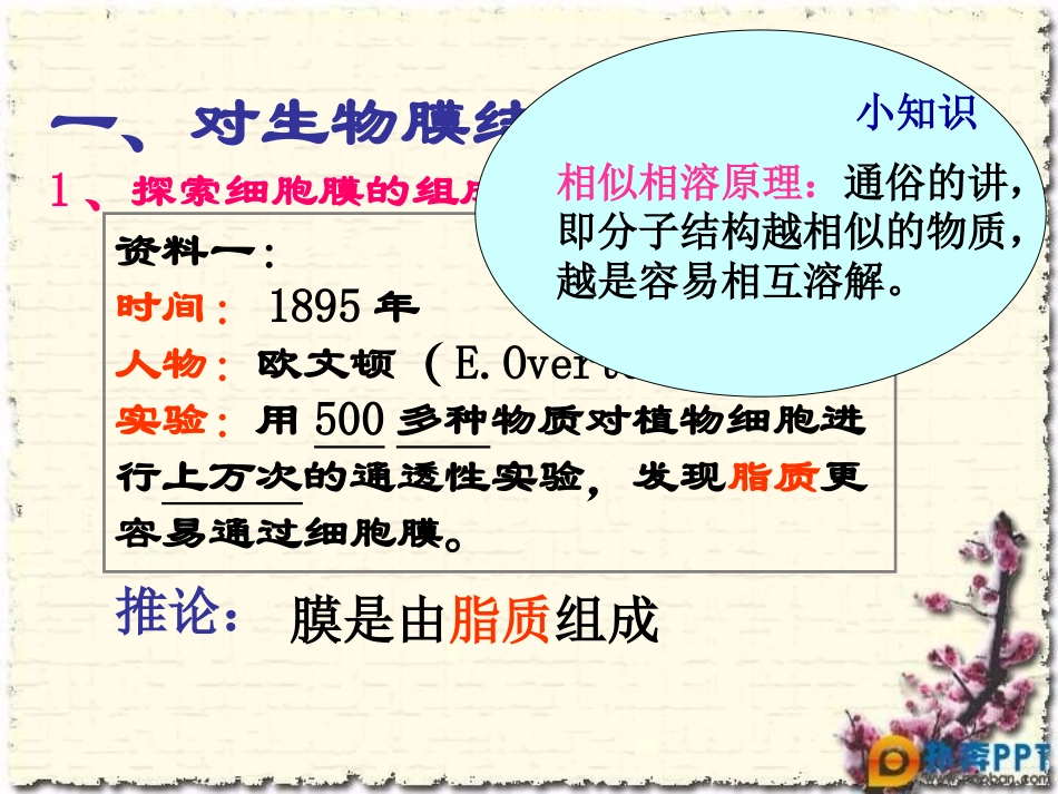 细胞膜和细胞壁_第3页