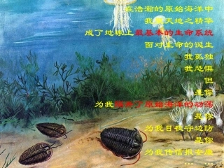 细胞膜和细胞壁