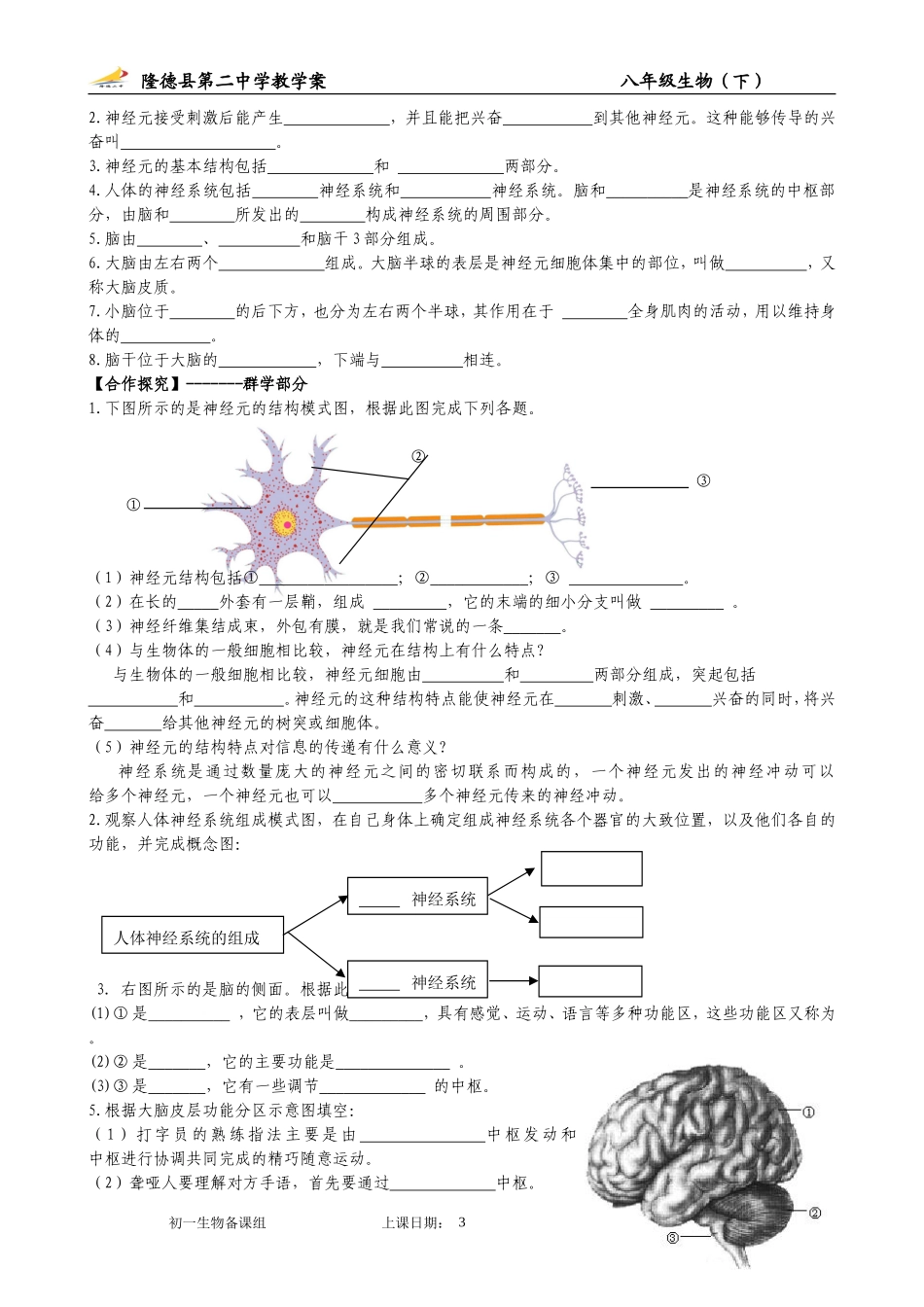 第一节人体的神经调节1_第3页