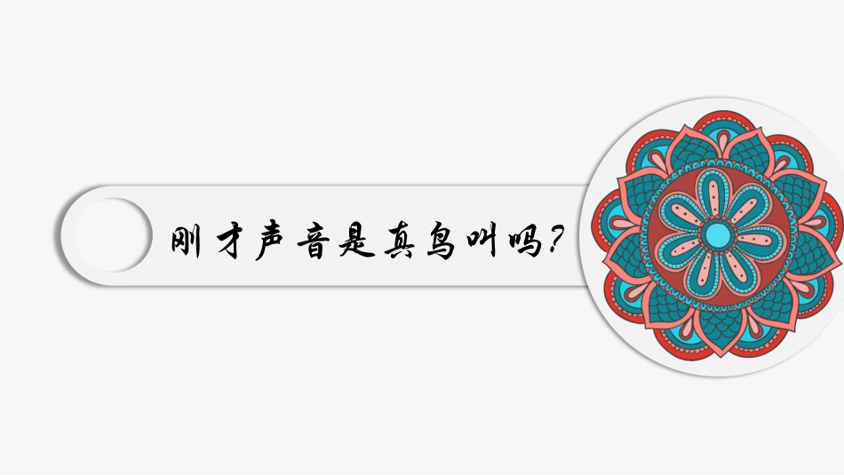 第三课百鸟朝凤_第3页