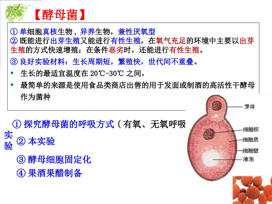 种群数量的变化_第2页