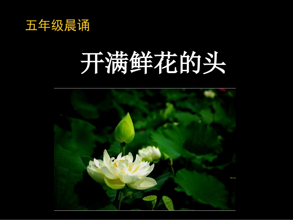 开满鲜花的头1_第2页