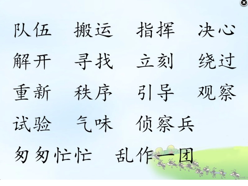 6蚂蚁的队伍_第2页
