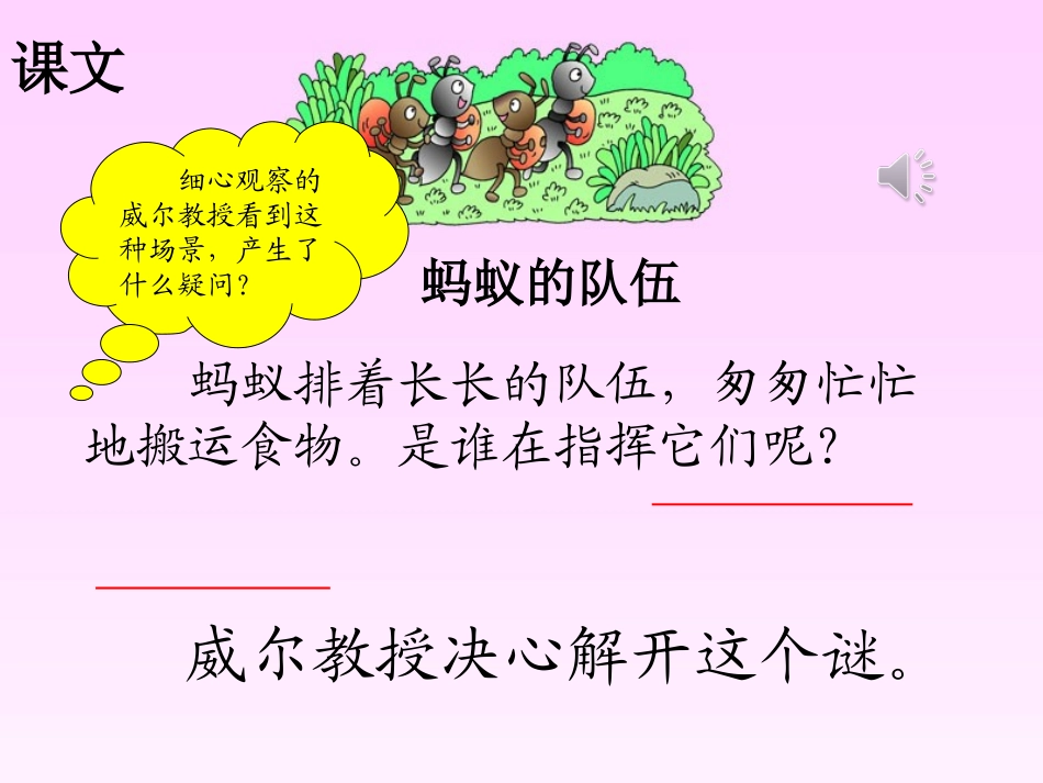 6蚂蚁的队伍_第3页