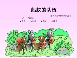 6蚂蚁的队伍