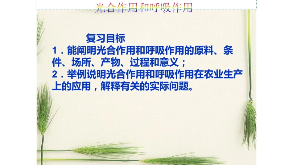 第1节光合作用-(3)_第2页