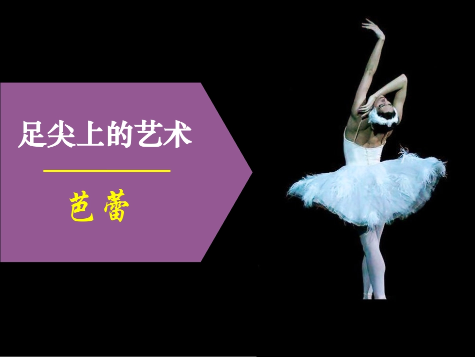 第三课足尖上的艺术_第2页