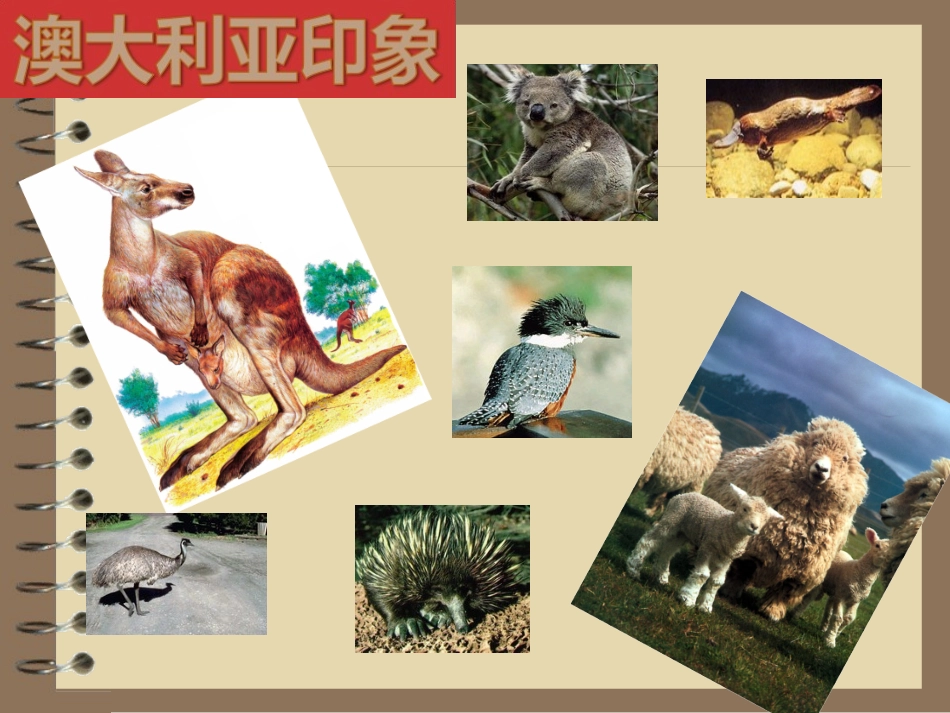 第三节澳大利亚-(3)_第2页