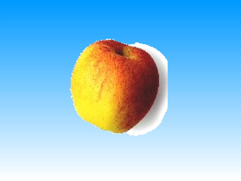 苏教版五年级数学下册分数的意义_第3页