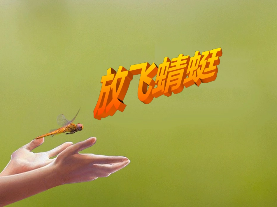 放飞蜻蜓课件_第1页