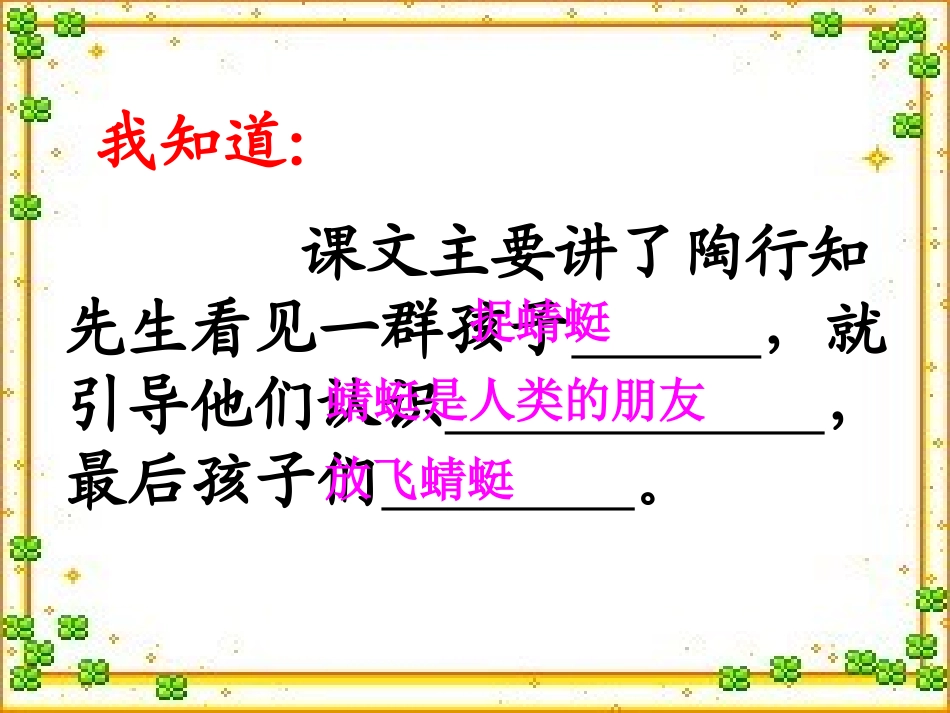 放飞蜻蜓课件_第3页