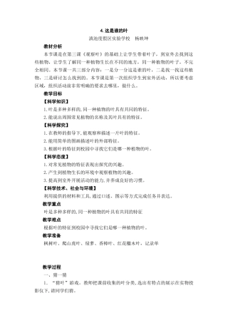 4.这是谁的叶教案