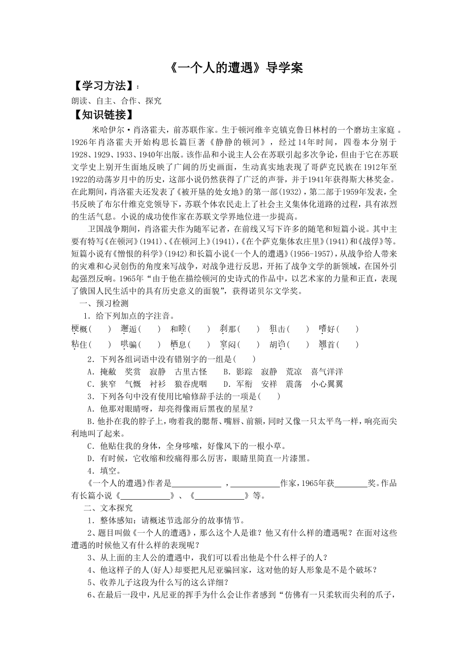 《一个人的遭遇》导学案1_第1页