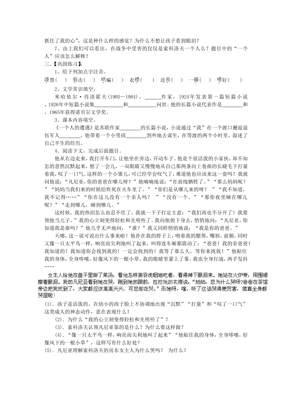 《一个人的遭遇》导学案1_第2页