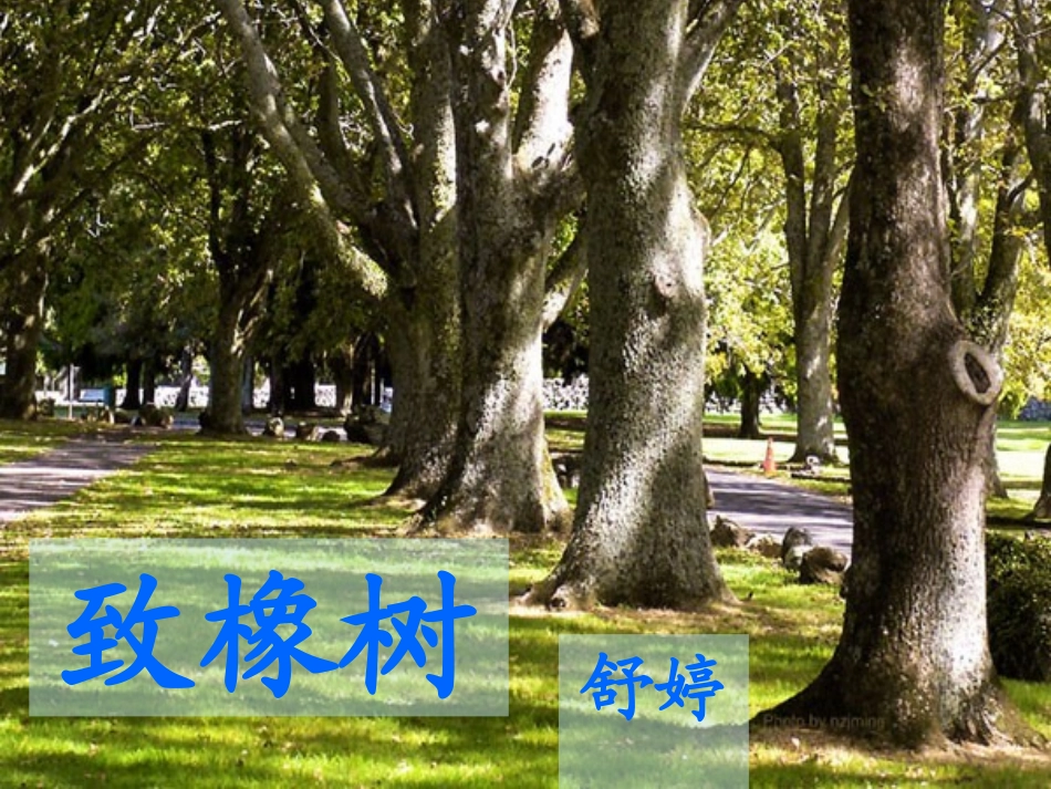 致橡树-(2)_第1页