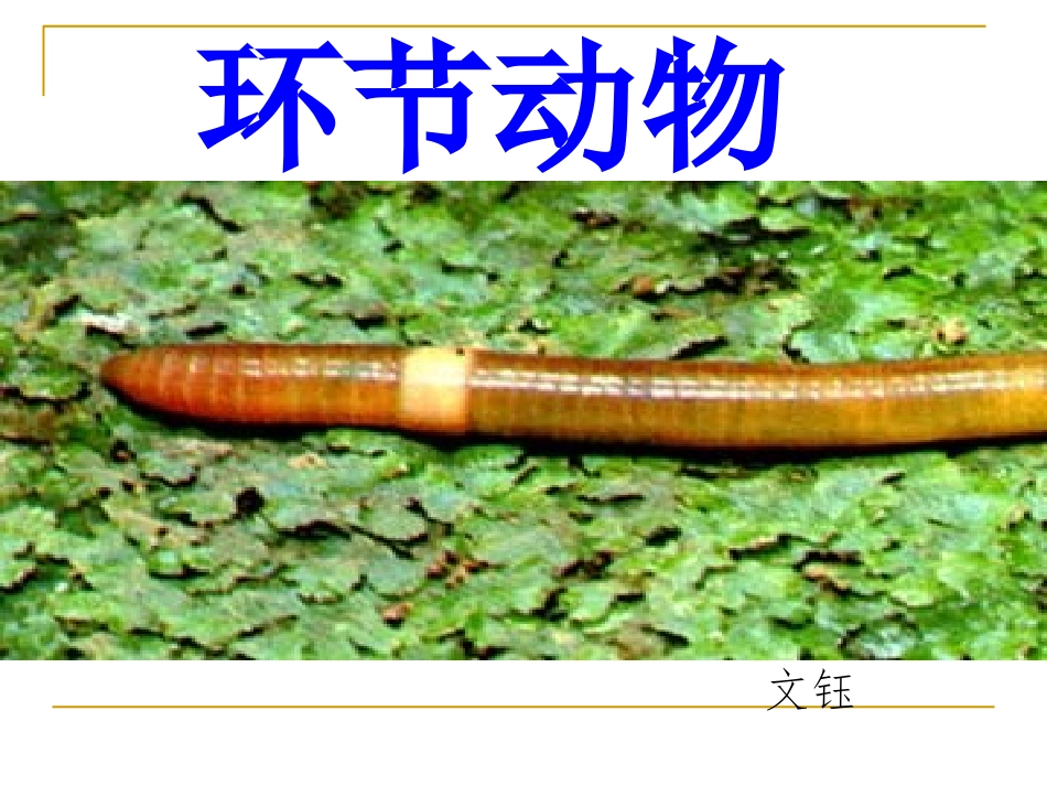 与生物学有关的职业-养殖专业户_第1页