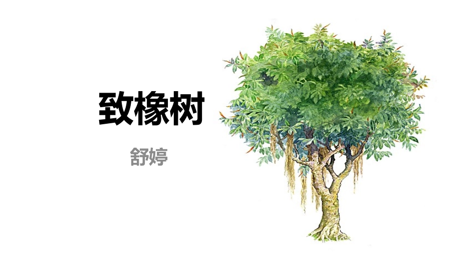 致橡树-舒婷_第1页