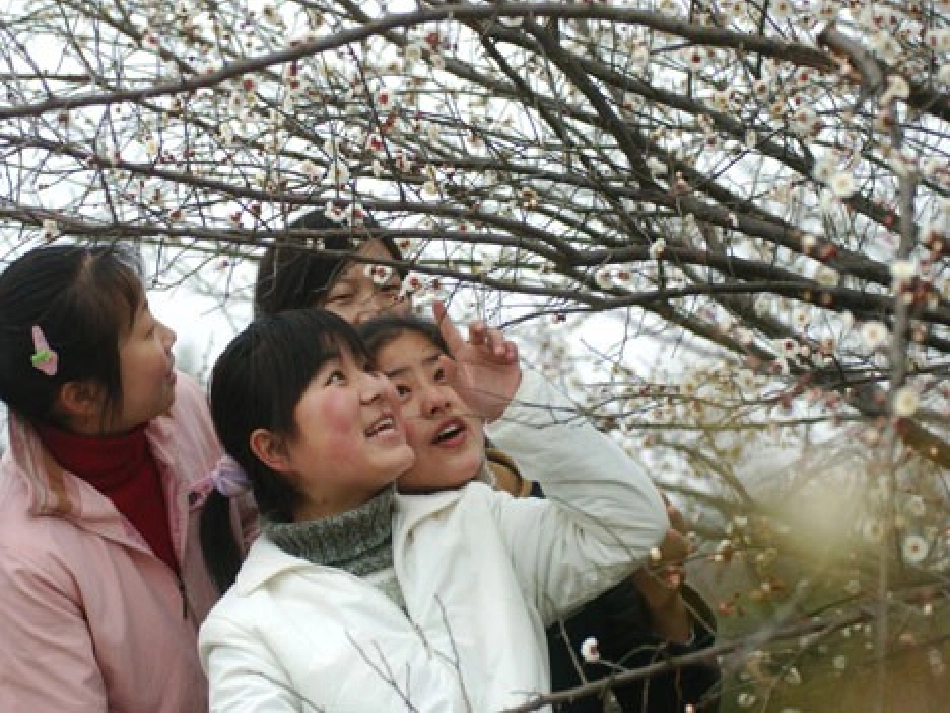 数据处理和数据管理_第3页