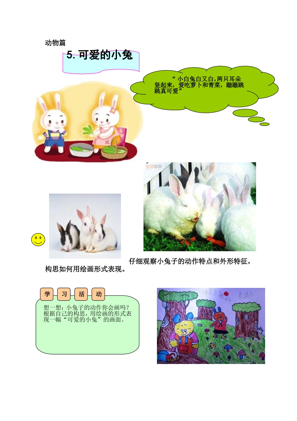 5可爱的小兔_第1页