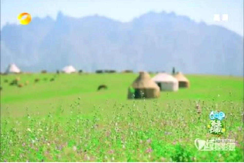 崔海霞学会沟通-让心靠近_第3页