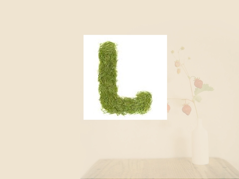 Unit-5-It's-a-parrot-Lesson-26-课件2_第3页