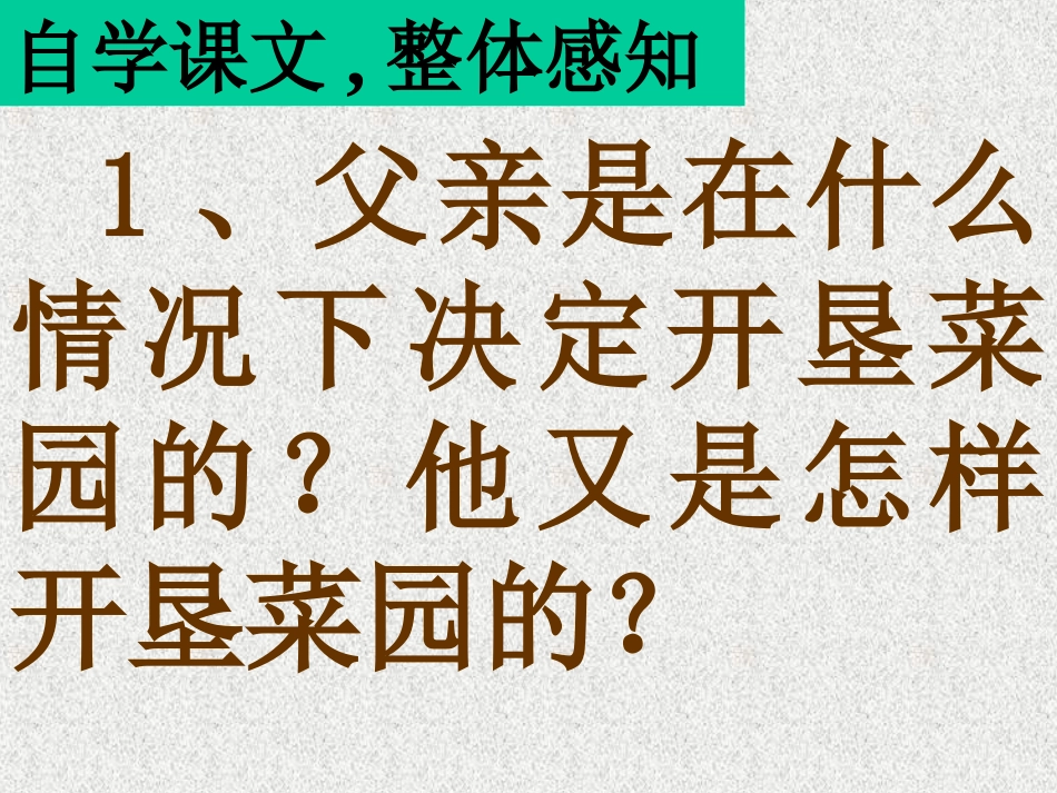 人教四下《28-父亲的菜园》ppt课件1_第3页