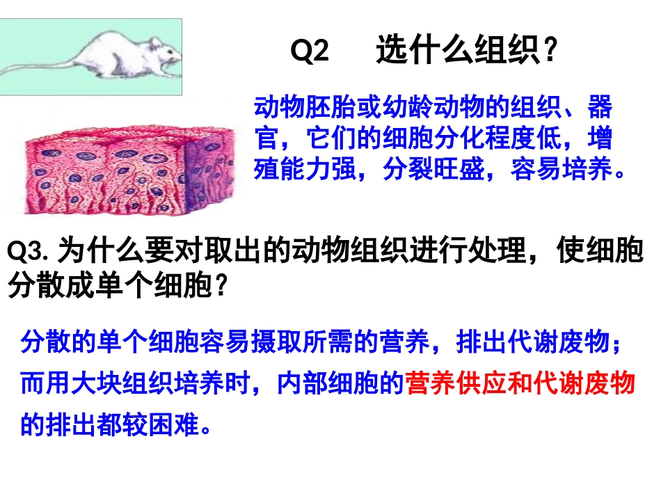 动物细胞培养130913_第3页