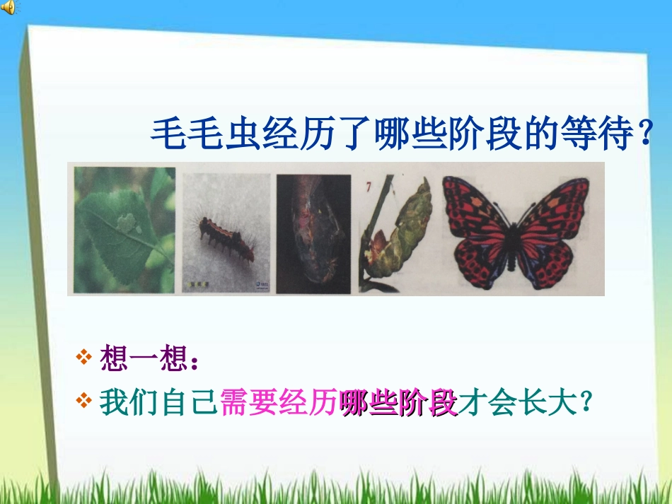 直面青春期-(2)_第2页