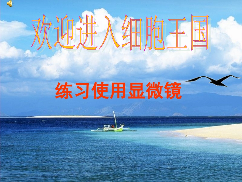 练习使用显微镜_第1页
