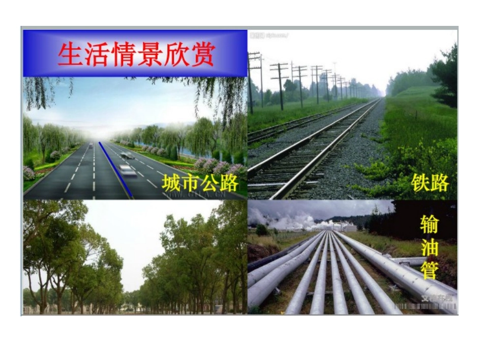 线段、直线和射线_第2页