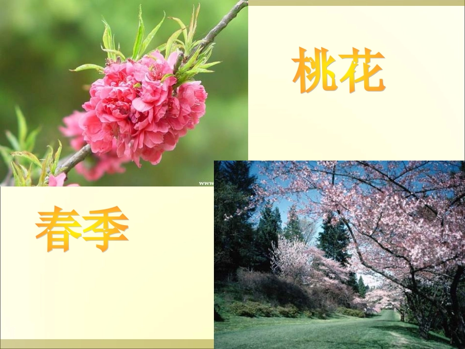 被压扁的沙子-(5)_第2页