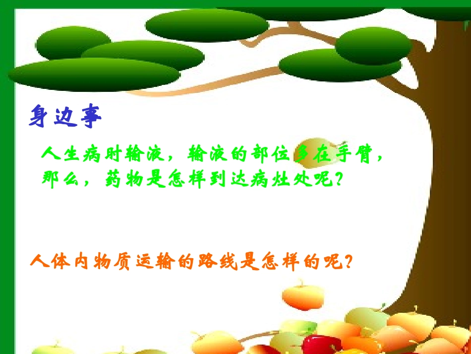 第三节物质运输的路线_第1页