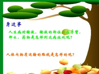 第三节物质运输的路线