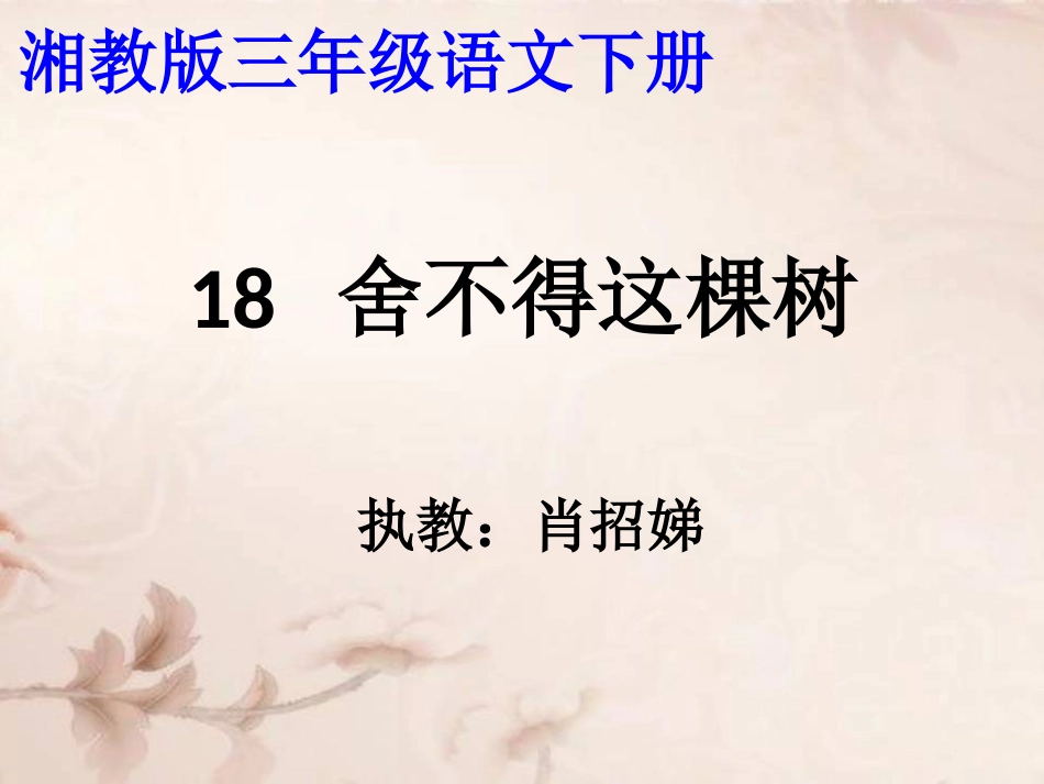 舍不得这棵树_第1页