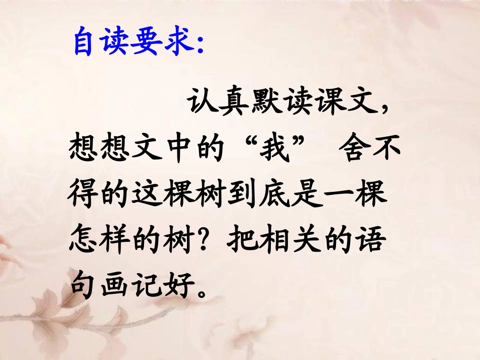 舍不得这棵树_第2页