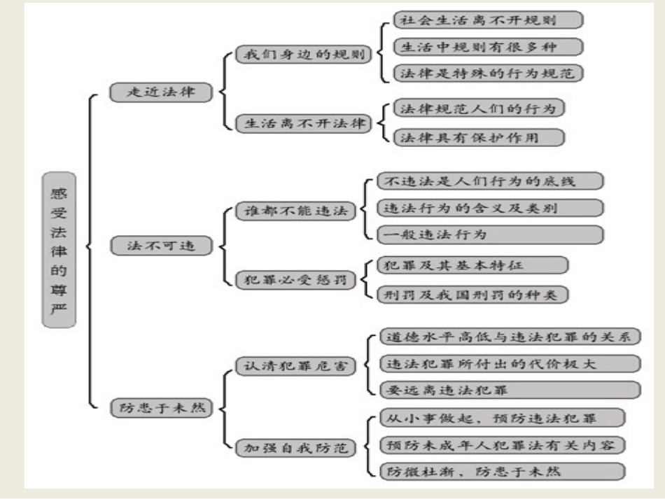 七年级政治第四单元-做知法守法用法的人-课件人教版_第2页
