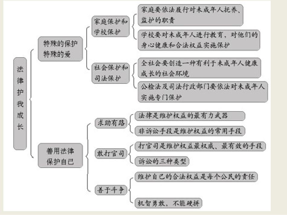 七年级政治第四单元-做知法守法用法的人-课件人教版_第3页