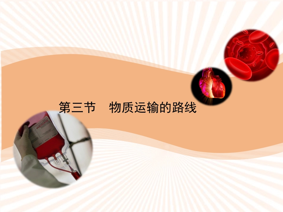 第三节物质运输的路线-(3)_第1页