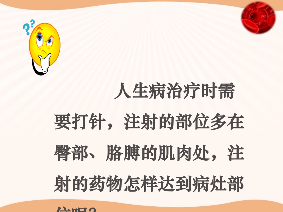 第三节物质运输的路线-(3)_第3页