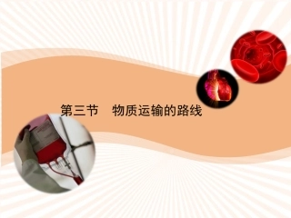 第三节物质运输的路线-(3)