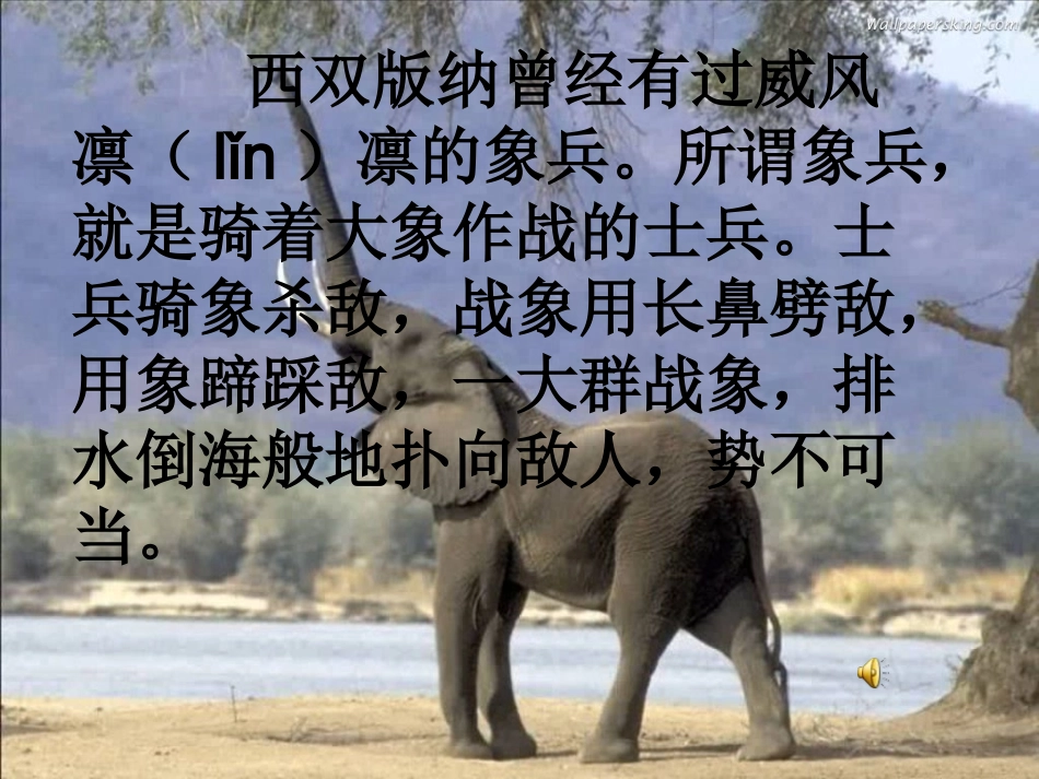 最后一头战象_第1页